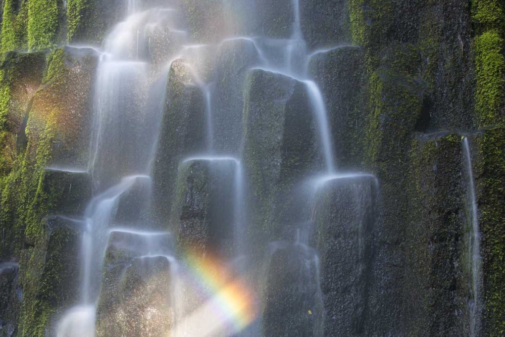 Wall Art Painting id:127334, Name: OR, Proxy Falls Waterfall rainbow over columns, Artist: Delisle, Gilles