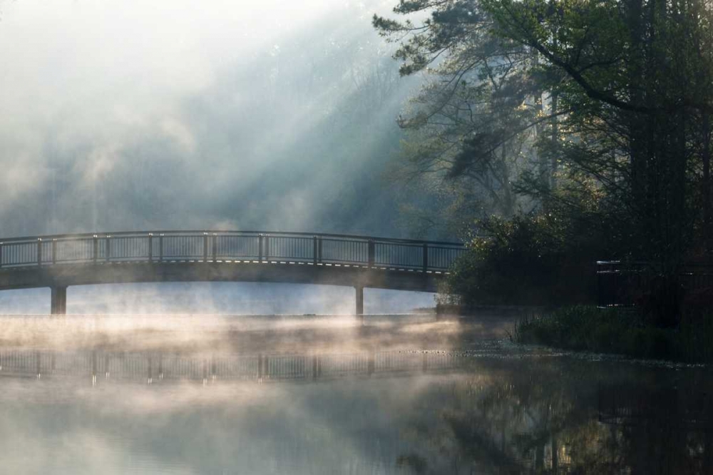 Wall Art Painting id:133748, Name: Georgia Sunlit mist on bridge over lake, Artist: Rotenberg, Nancy