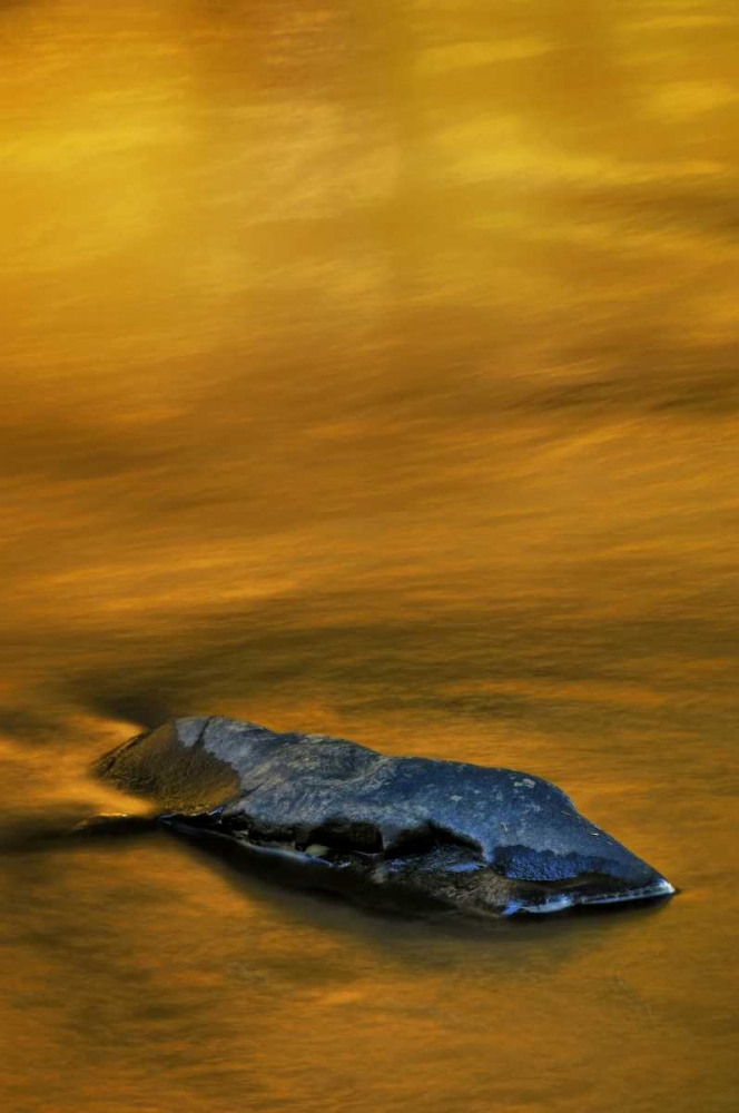 Wall Art Painting id:131637, Name: PA, Dingmans Ferry, Rock in autumn-colored stream, Artist: OBrien, Jay