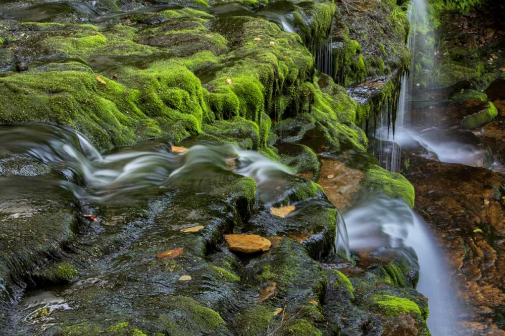 Wall Art Painting id:131516, Name: Pennsylvania, Ricketts Glen SP Flowing stream, Artist: OBrien, Jay