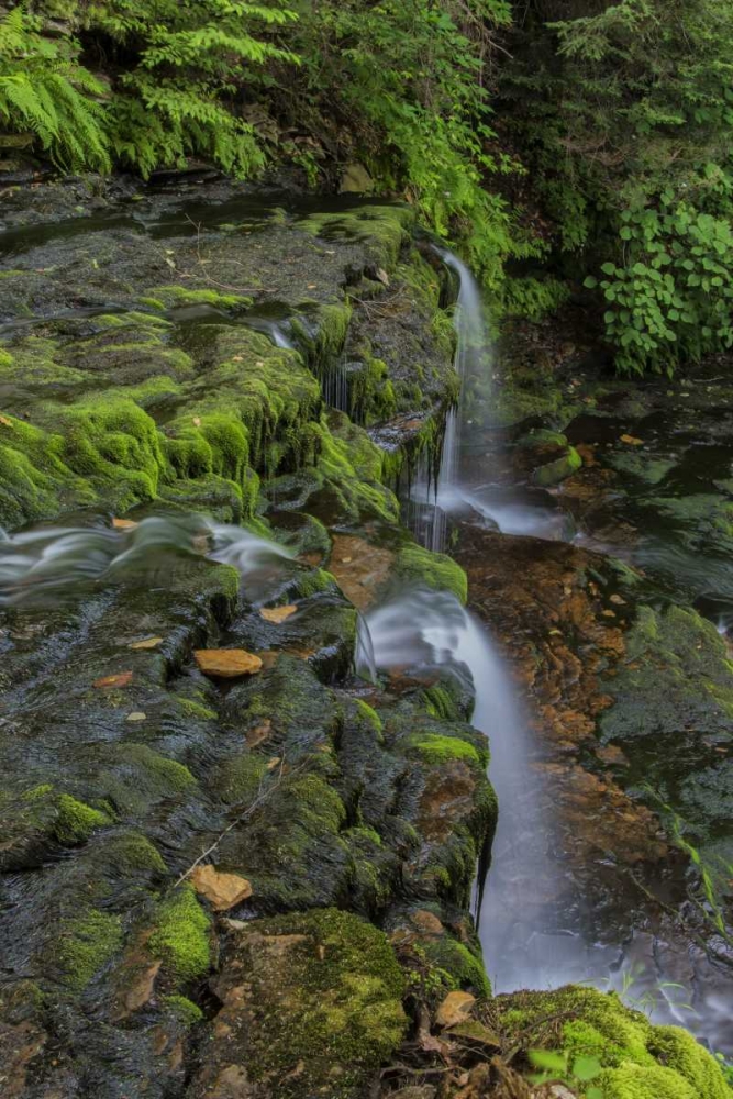 Wall Art Painting id:131518, Name: Pennsylvania, Ricketts Glen SP Flowing stream, Artist: OBrien, Jay