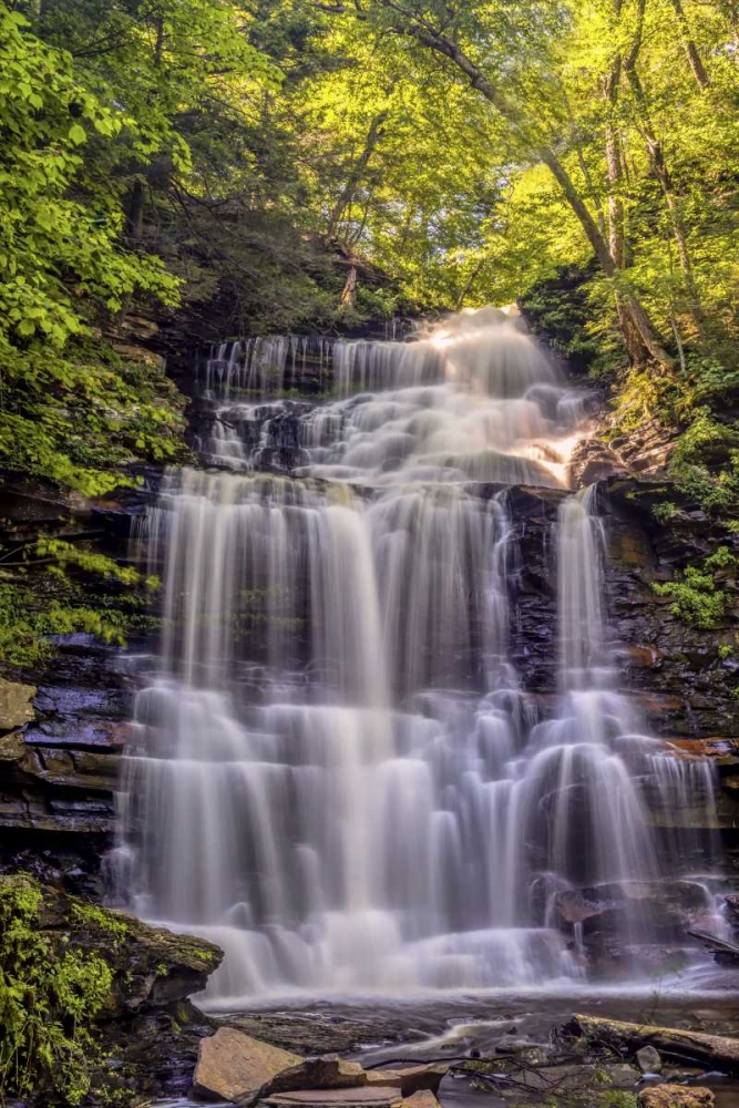 Wall Art Painting id:131422, Name: PA, Benton, Ricketts Glen SP Ganoga Falls, Artist: OBrien, Jay