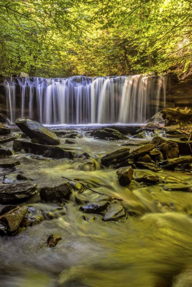 Wall Art Painting id:131423, Name: PA, Benton, Ricketts Glen SP Oneida Falls, Artist: OBrien, Jay