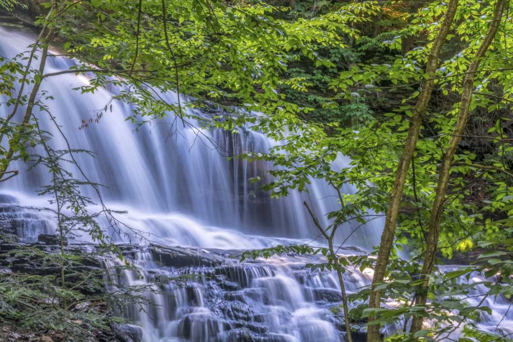 Wall Art Painting id:131424, Name: PA, Benton, Ricketts Glen SP Mohawk Falls, Artist: OBrien, Jay