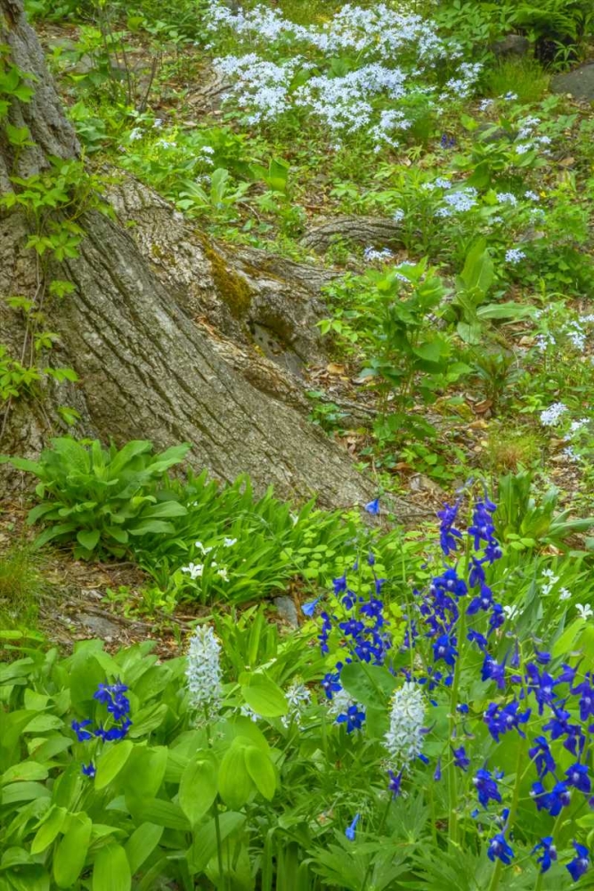 Similar wall art painting: 131367