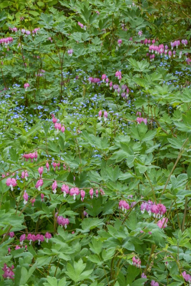 Similar wall art painting: 131370