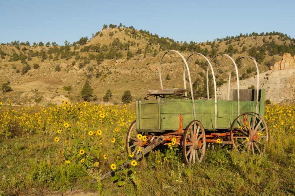 Wall Art Painting id:128845, Name: SD, Wild Horse Sanctuary Vintage wagon, Artist: Illg, Cathy and Gordon