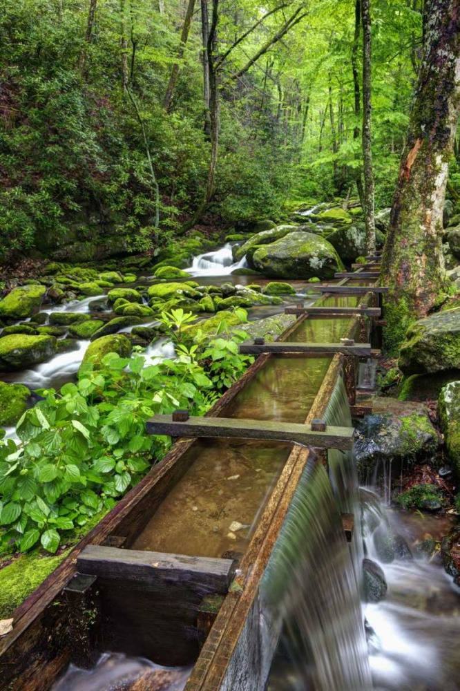 Wall Art Painting id:127852, Name: TN, Great Smoky Mts View of the Tub Mill flume, Artist: Flaherty, Dennis