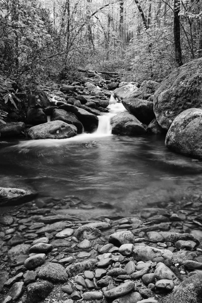 Wall Art Painting id:127653, Name: TN, Great Smoky Mts Cascading creek and pool, Artist: Flaherty, Dennis