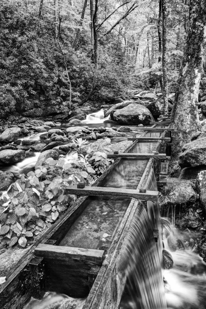 Wall Art Painting id:127388, Name: TN, Great Smoky Mts Wooden spillway, Artist: Flaherty, Dennis