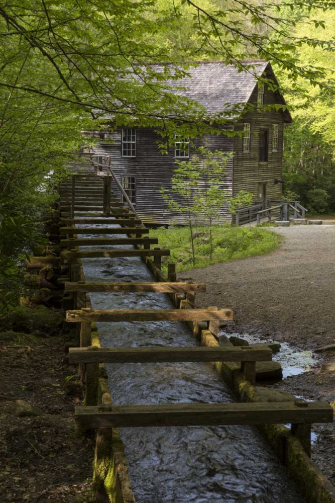 Wall Art Painting id:128338, Name: TN, Great Smoky Mts Wooden flume directs water, Artist: Grall, Don