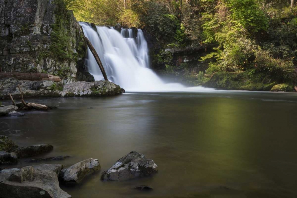 Wall Art Painting id:128140, Name: Tennessee, Great Smoky Mts Abrams Falls, Artist: Grall, Don