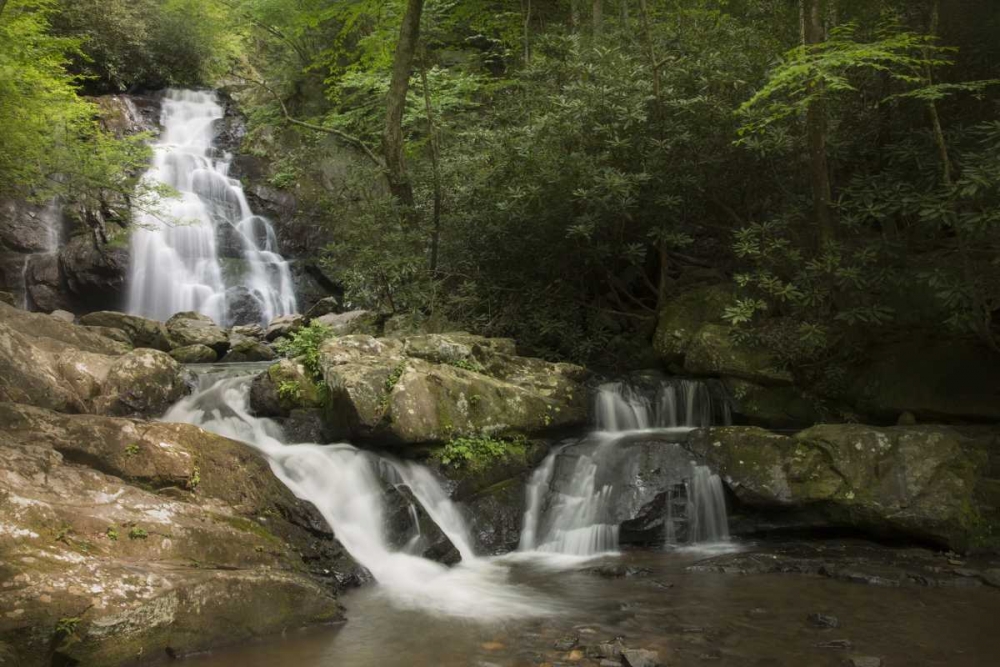 Wall Art Painting id:128406, Name: TN, Great Smoky Mts Indian Flats Falls landscape, Artist: Grall, Don