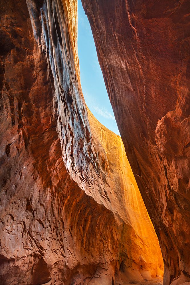 Wall Art Painting id:652879, Name: Leprechaun Canyon-one of a group of canyons called the Irish Canyons near Hanksville-Utah, Artist: Majchrowicz, Alan