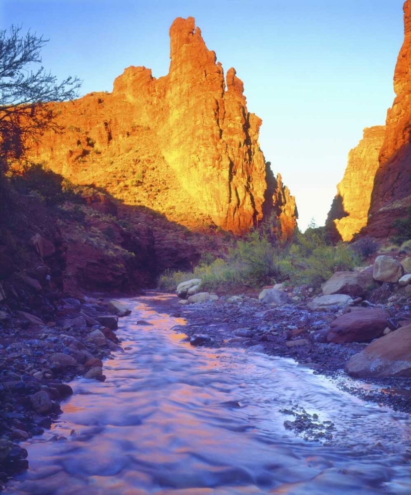 Wall Art Painting id:134718, Name: USA, Utah, A stream near Fisher Towers, Artist: Talbot Frank, Christopher