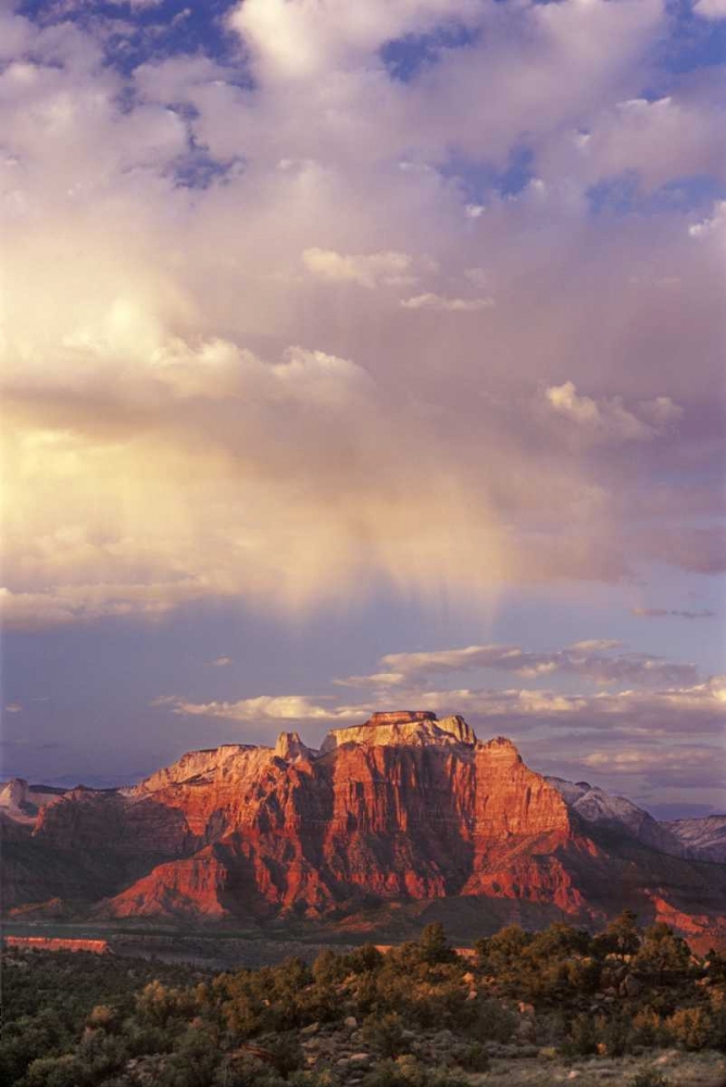 Wall Art Painting id:135805, Name: UT, Zion NP Storm over back of West Temple, Artist: Welling, Dave