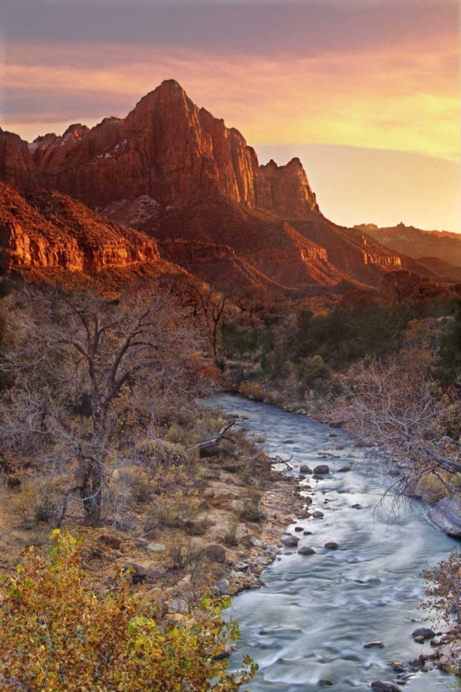 Wall Art Painting id:135795, Name: UT, Zion NP The Watchman and Virgin River, Artist: Welling, Dave