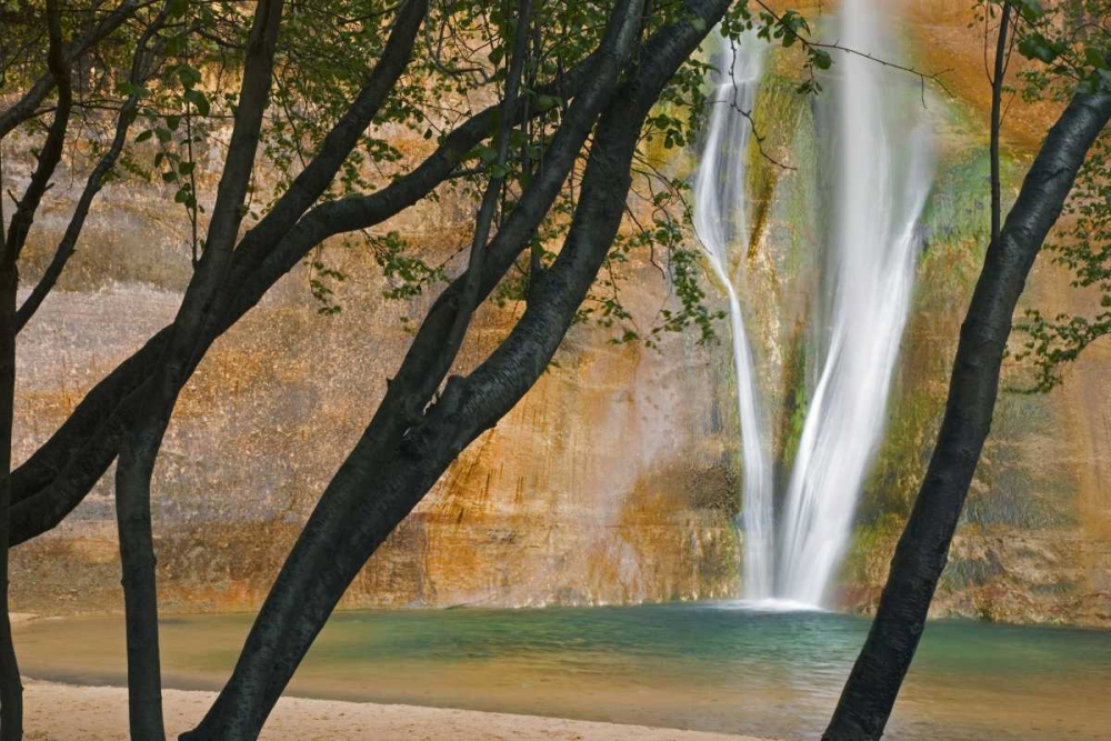 Wall Art Painting id:133250, Name: USA, Utah View of Calf Creek Falls through trees, Artist: Paulson, Don