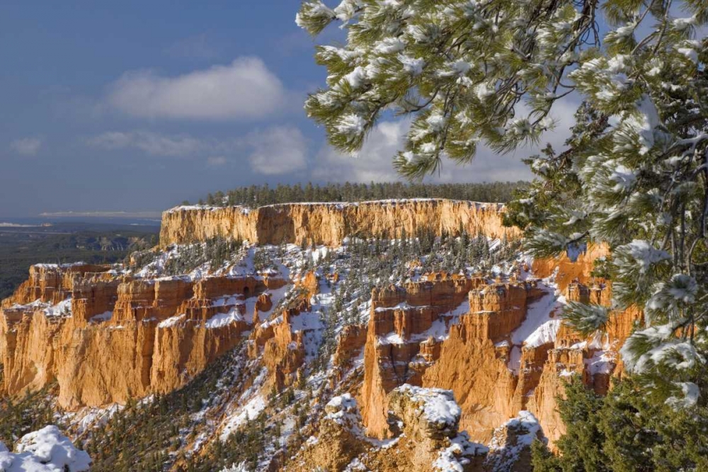 Wall Art Painting id:132789, Name: UT, Bryce Canyon Sunrise on canyon formations, Artist: Paulson, Don