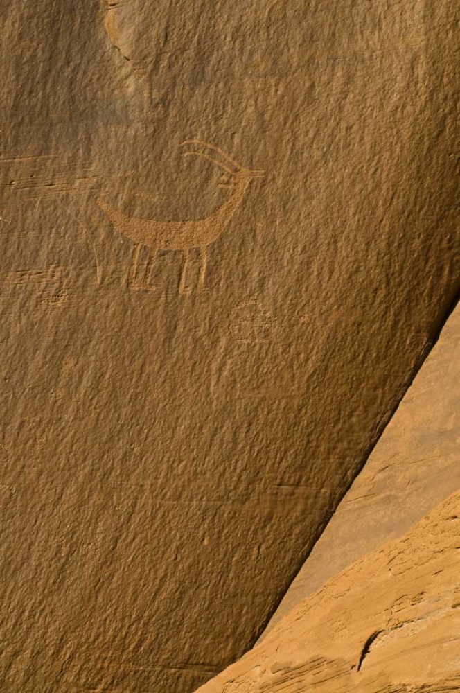 Wall Art Painting id:133752, Name: UT, Monument Valley Ancient petroglyphs, Artist: Rotenberg, Nancy