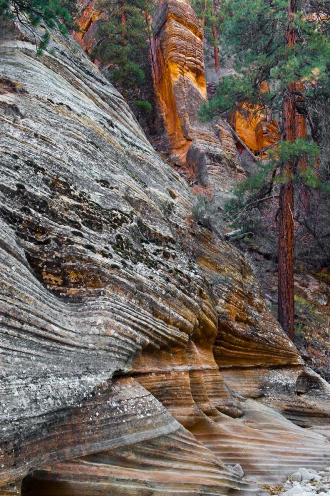 Wall Art Painting id:134103, Name: Utah, Zion NP Rock formations in Red Rock Canyon, Artist: Rotenberg, Nancy