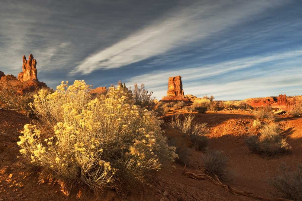 Wall Art Painting id:133777, Name: UT, Valley of The Gods Eroded formations, Artist: Rotenberg, Nancy