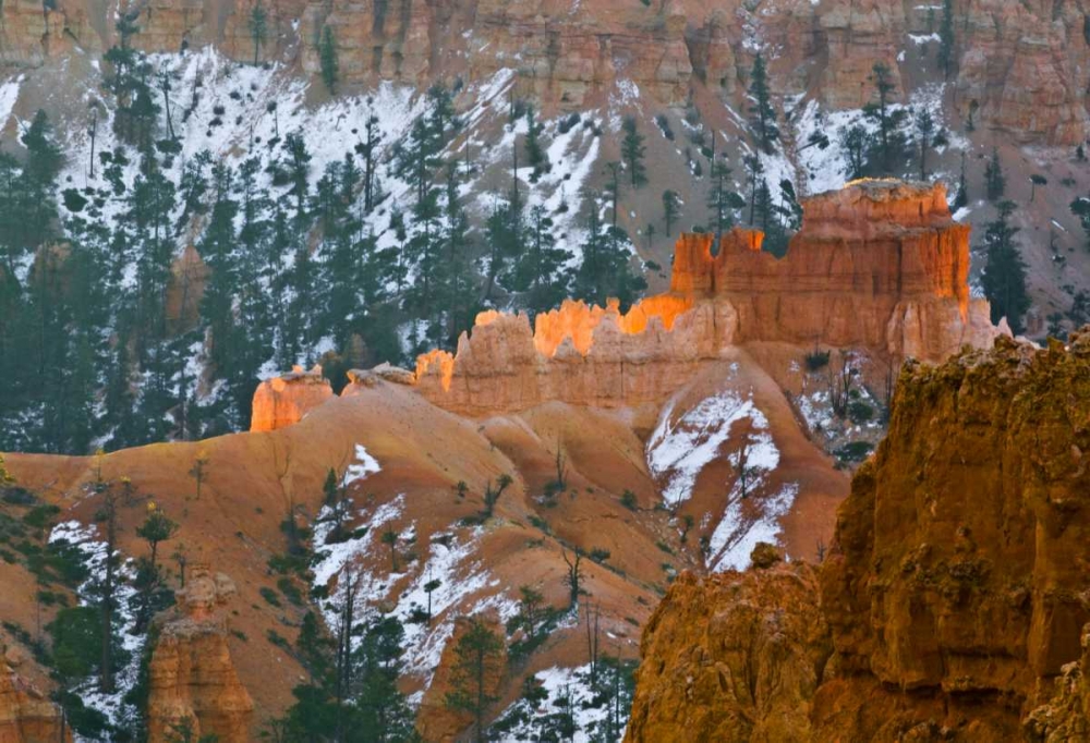 Wall Art Painting id:134129, Name: UT, Bryce Canyon Hoodoo formations and evergreen, Artist: Rotenberg, Nancy