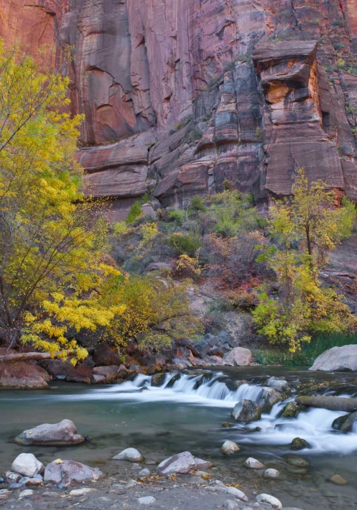 Wall Art Painting id:133971, Name: UT, Zion NP The Narrows with cottonwood trees, Artist: Rotenberg, Nancy