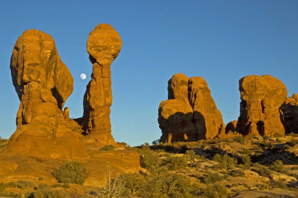 Wall Art Painting id:128998, Name: UT, Arches NP Moonrise over Garden of Eden, Artist: Illg, Cathy and Gordon