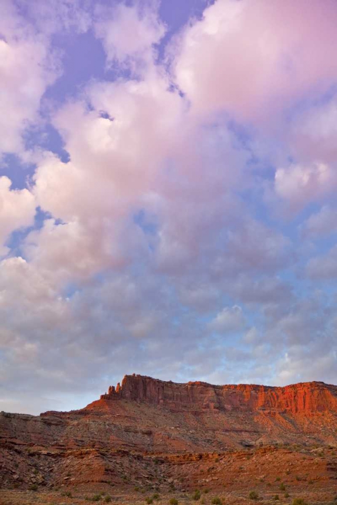 Wall Art Painting id:130904, Name: UT, Canyonlands NP Grand View Point Overlook, Artist: Lord, Fred