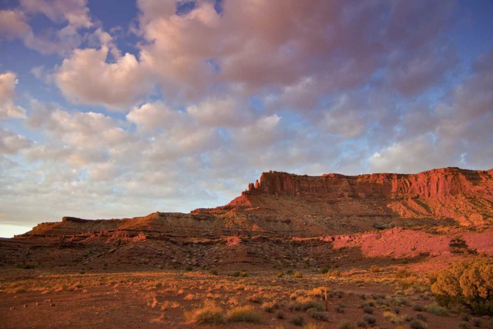 Wall Art Painting id:130905, Name: UT, Canyonlands NP Grand View Point Overlook, Artist: Lord, Fred