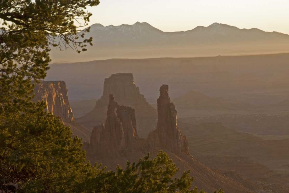 Wall Art Painting id:129335, Name: UT, Arches NP Washerwoman Arch and La Sal Mts, Artist: Illg, Cathy and Gordon