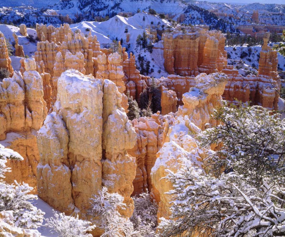 Wall Art Painting id:134674, Name: Utah, Bryce Canyon NP in Winter, Artist: Talbot Frank, Christopher