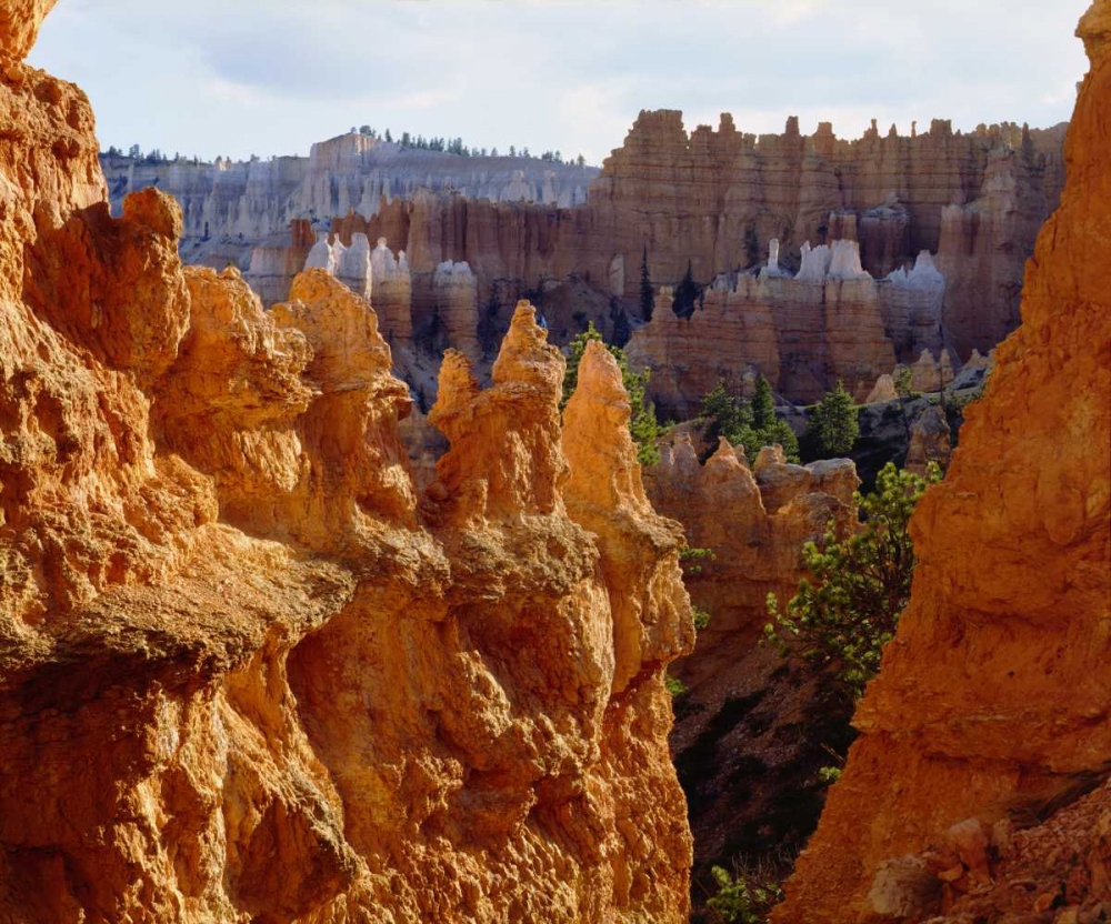 Wall Art Painting id:134829, Name: Utah, Bryce Canyon NP Sandstone formations, Artist: Talbot Frank, Christopher