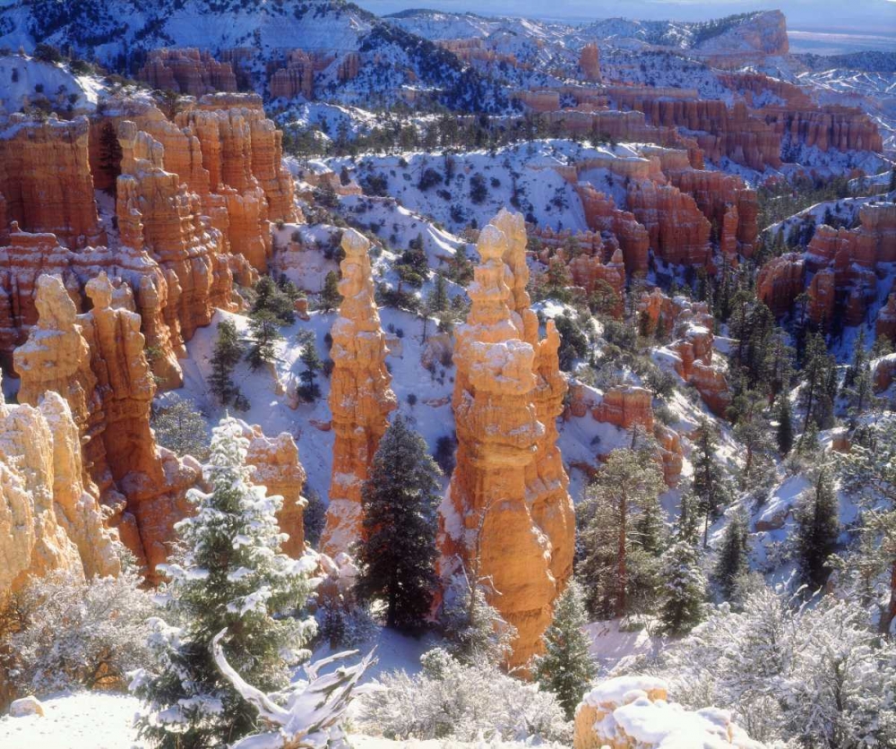 Wall Art Painting id:134689, Name: USA, Utah, Bryce Canyon NP Winter, Artist: Talbot Frank, Christopher