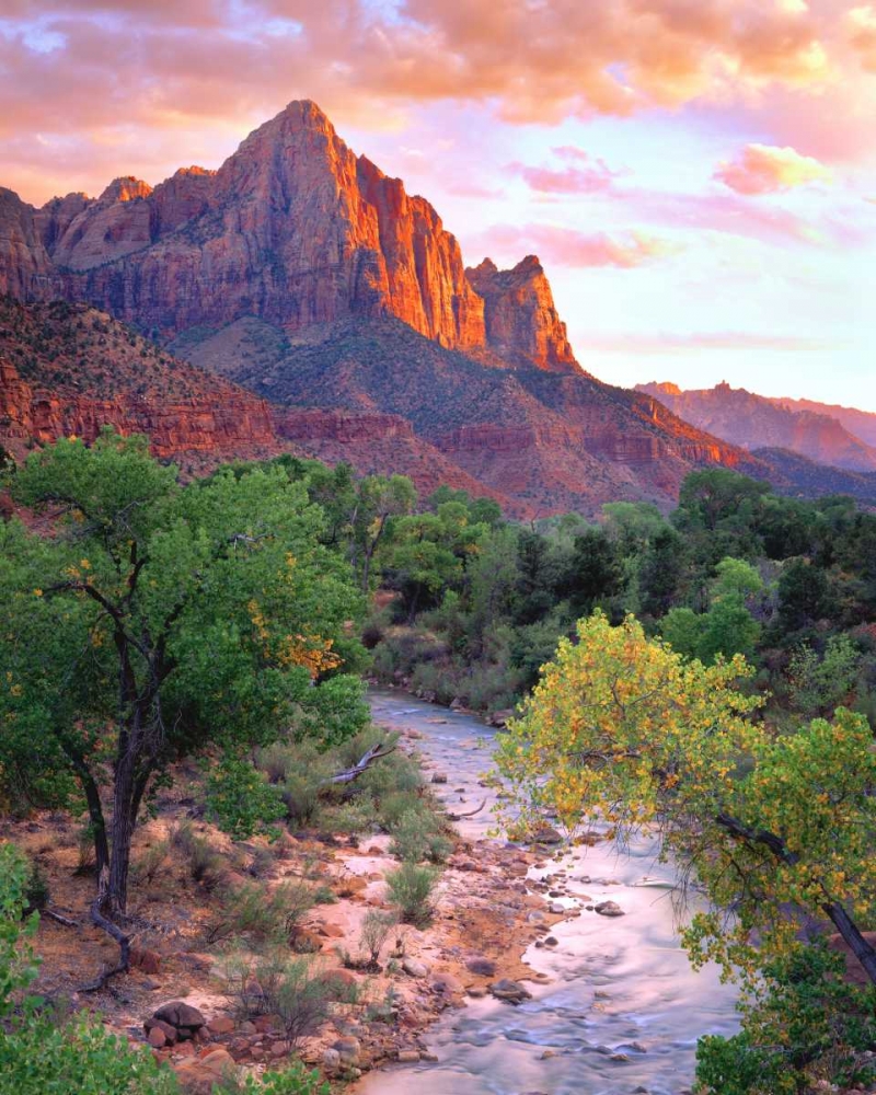Wall Art Painting id:134666, Name: Utah, Zion NP at Sunset, Artist: Talbot Frank, Christopher