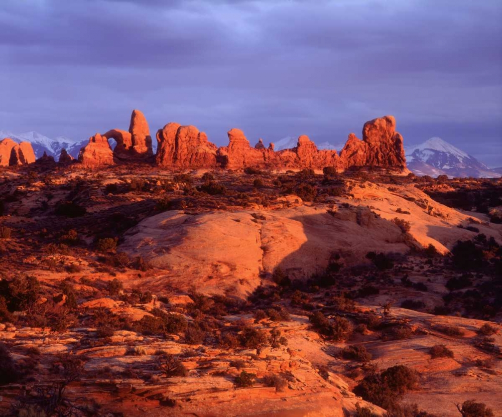 Wall Art Painting id:134721, Name: USA, Utah Arches NP Arches at sunset, Artist: Talbot Frank, Christopher