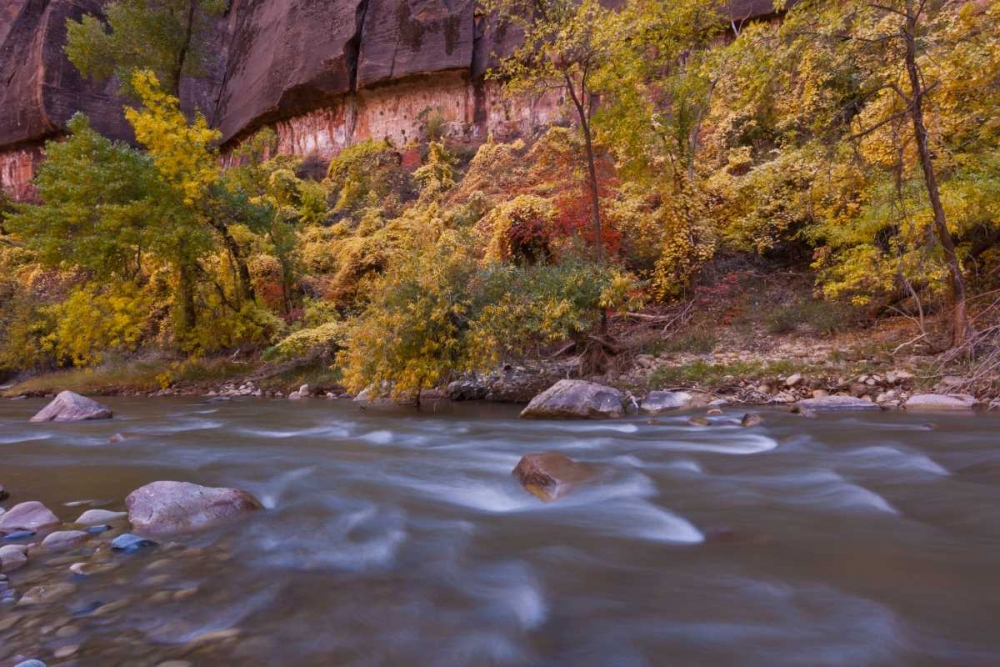 Wall Art Painting id:129221, Name: USA, Utah, Zion NP Autumn on the Virgin River, Artist: Illg, Cathy and Gordon