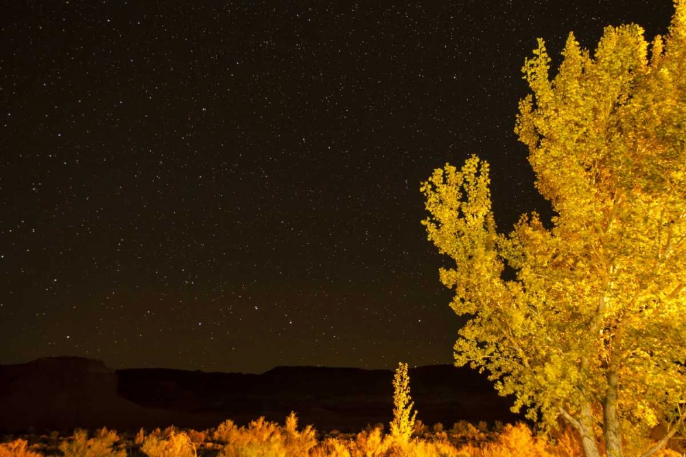 Wall Art Painting id:128792, Name: USA, Utah Stary night sky in autumn, Artist: Illg, Cathy and Gordon