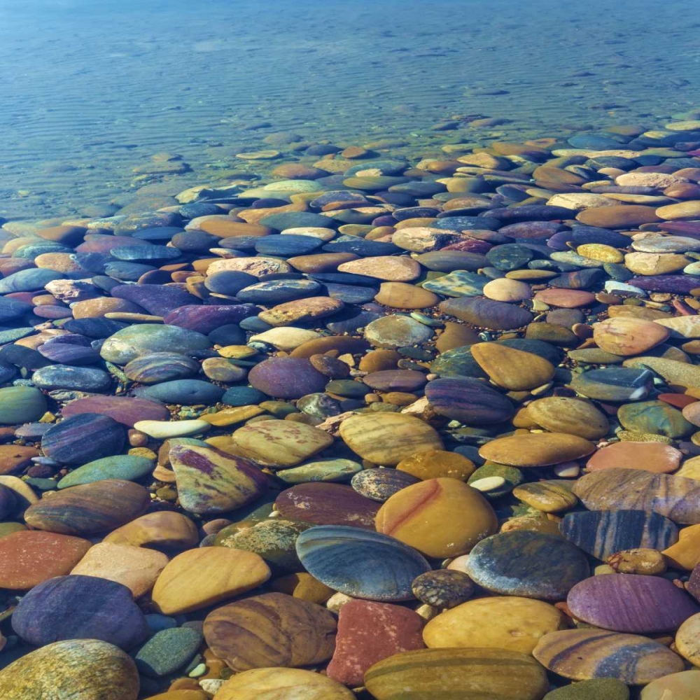 Wall Art Painting id:131901, Name: USA, Utah Colorful rocks in Lake Powell, Artist: Paulson, Don