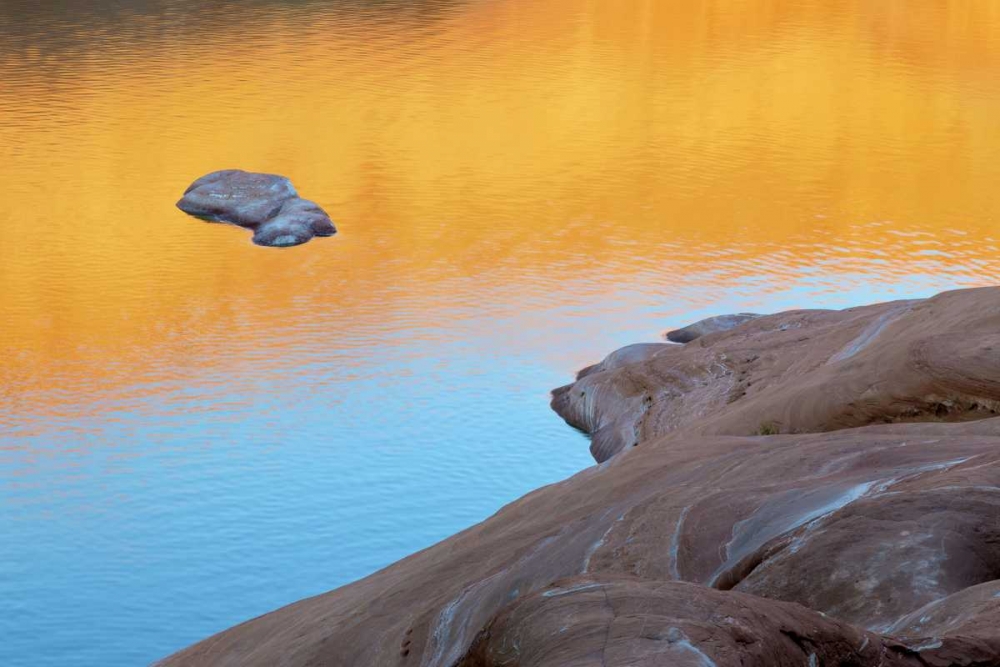 Wall Art Painting id:131776, Name: USA, Utah Reflection in Lake Powell, Artist: Paulson, Don