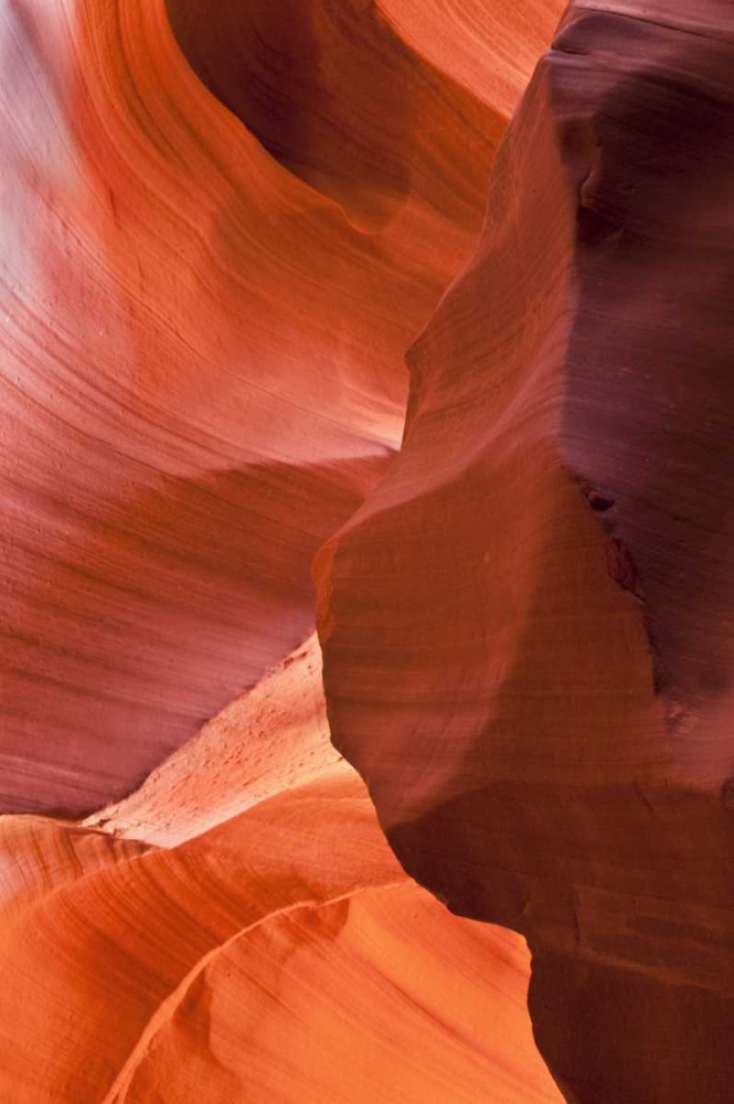 Wall Art Painting id:133797, Name: AZ, Sandstone formation in Antelope Canyon, Artist: Rotenberg, Nancy