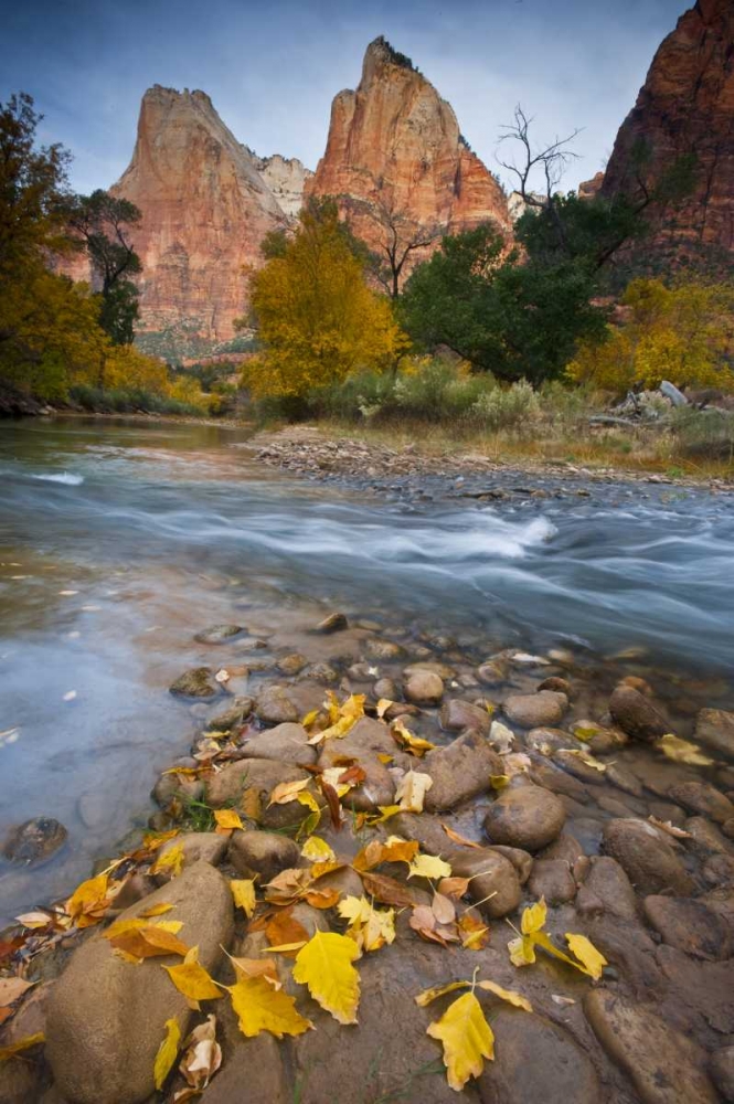 Wall Art Painting id:133975, Name: UT, Zion NP The Sentinel and the Virgin River, Artist: Rotenberg, Nancy