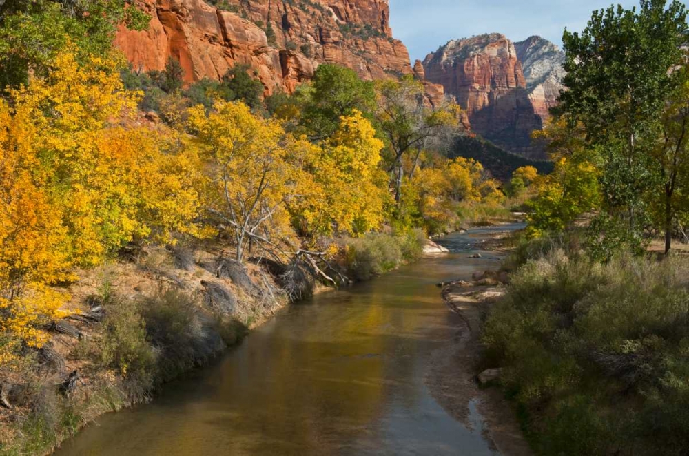 Wall Art Painting id:133776, Name: UT, Zion NP Zion Canyon and Virgin River, Artist: Rotenberg, Nancy