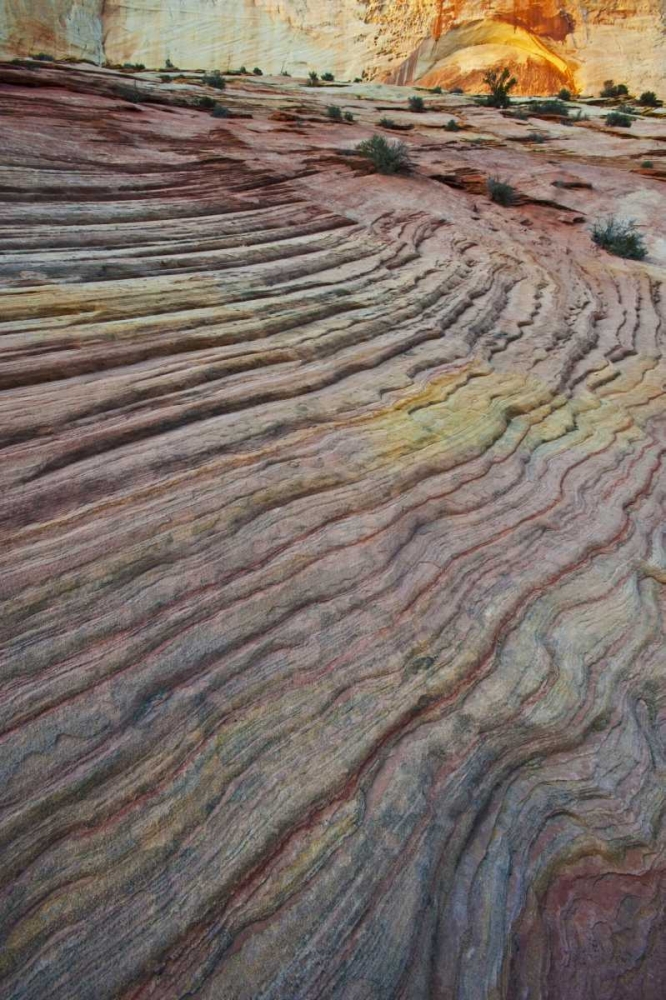 Wall Art Painting id:133705, Name: UT, Zion NP Slick rock and red rock, Artist: Rotenberg, Nancy