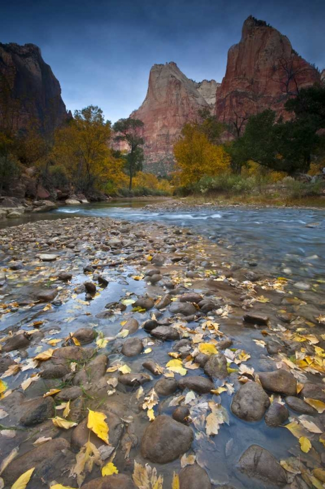 Wall Art Painting id:133976, Name: UT, Zion NP The Sentinel and the Virgin River, Artist: Rotenberg, Nancy