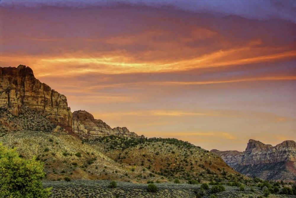 Wall Art Painting id:131389, Name: USA, Utah, Zion NP Mountain landscape, Artist: OBrien, Jay