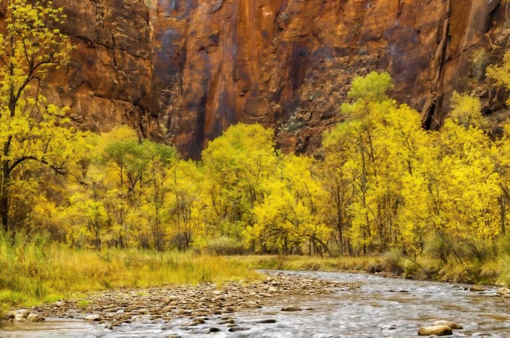 Wall Art Painting id:131496, Name: USA, Utah, Zion NP Stream in autumn landscape, Artist: OBrien, Jay