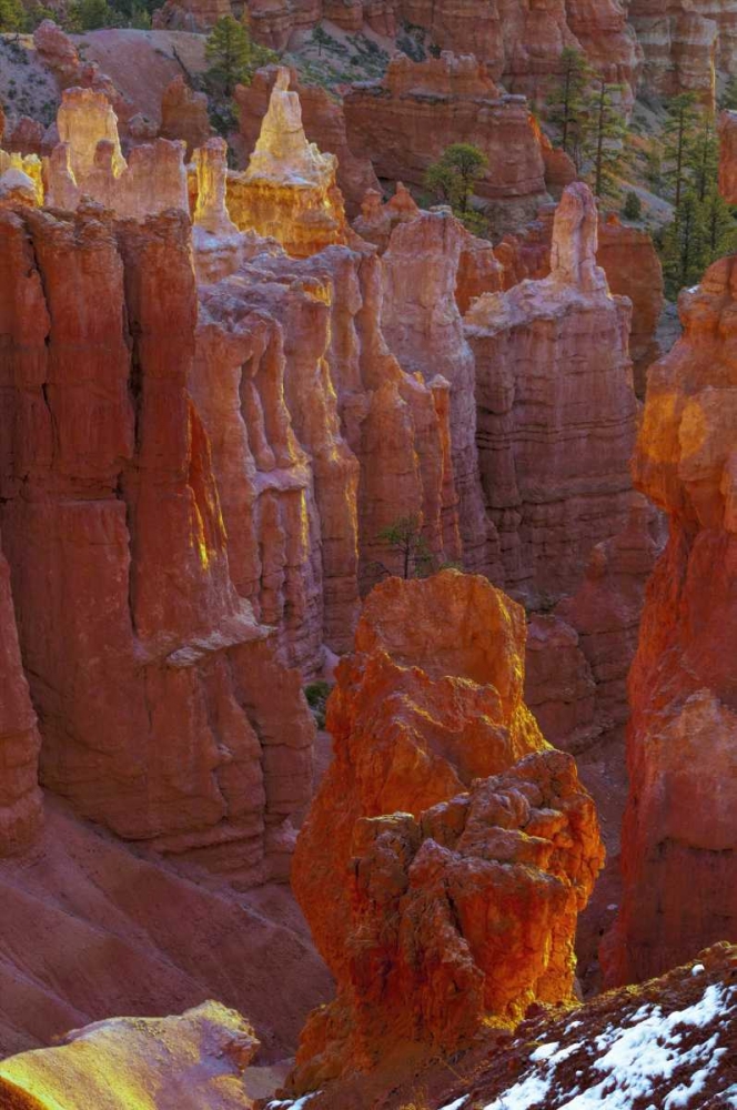 Wall Art Painting id:131535, Name: USA, Utah, Bryce Canyon NP Close-up of hoodoos, Artist: OBrien, Jay