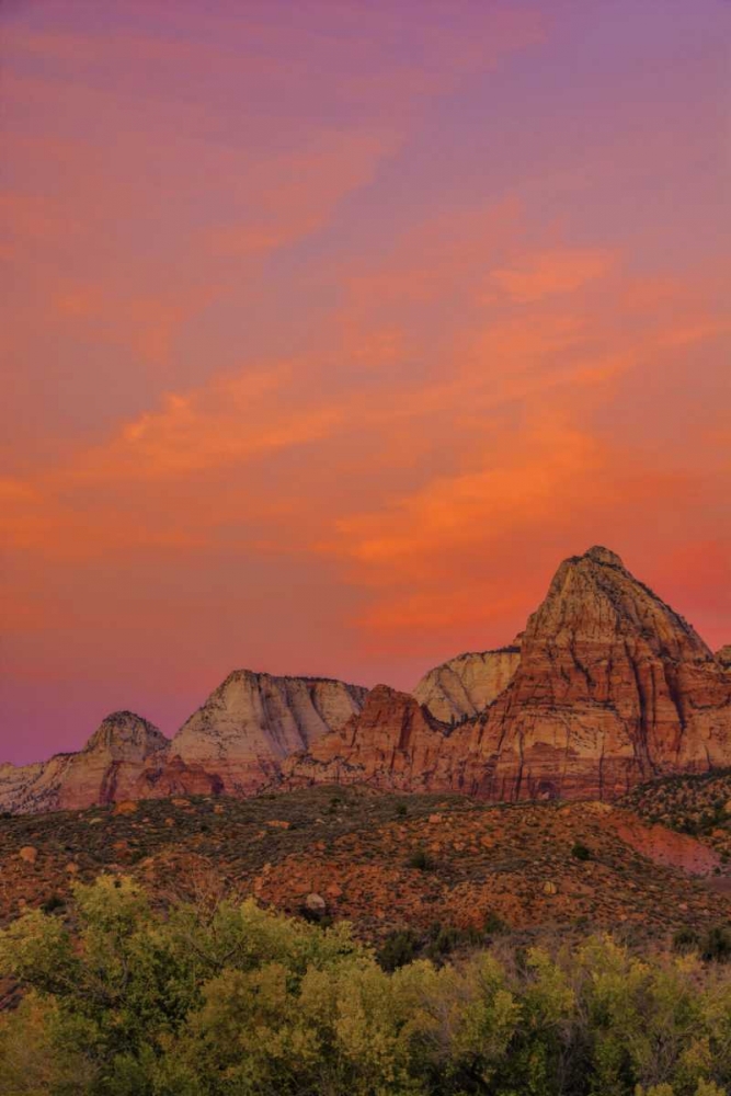 Wall Art Painting id:131390, Name: USA, Utah, Zion NP Mountain landscape, Artist: OBrien, Jay